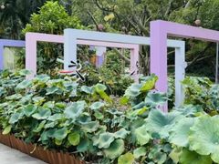 -云溪植物园