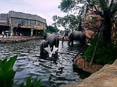 -美的鹭湖探索王国