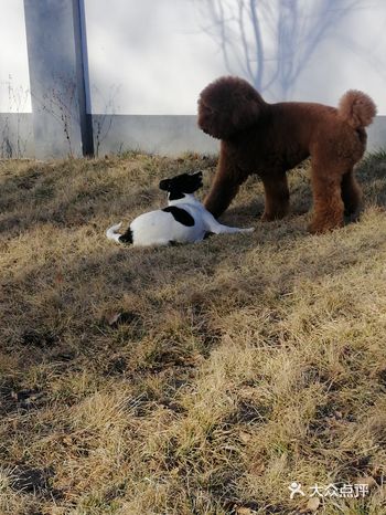 相信很快就会过去的，武汉加油!中国加油!