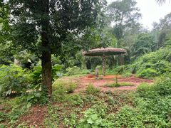-海南热带野生动植物园