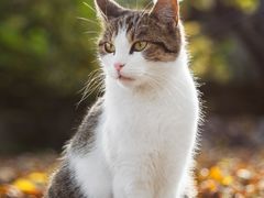 -泉州海丝野生动物世界