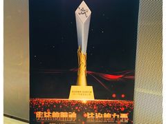 -中央广播电视总台(光华路办公区)