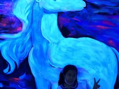 -深圳独角兽星空艺术馆
