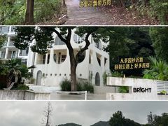 -午潮山国家森林公园