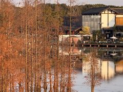 -白鹭湾湿地公园