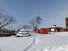 -支芴洞爷国立公园