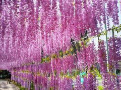 -观澜湖生态运动公社