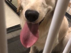 -麦当劳(龙湖北京大兴天街店)