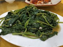 -鸿达渔港