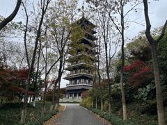 -宜兴龙背山森林公园