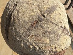 斯佩尔特七谷杂粮面包-佐敦面包铺·JORDAN BAKERY