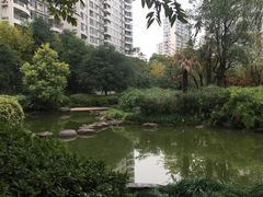 -新湖明珠城
