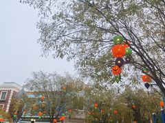 -沈阳方特欢乐世界