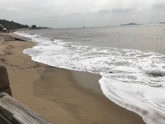 -鼓浪屿内厝澳码头(轮渡站)