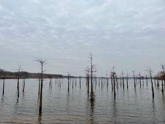 -南京枫彩漫城