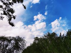 -西青郊野公园