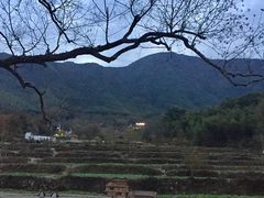 -塔川景区