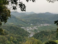 -龙井村