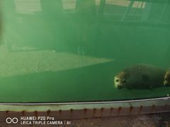 -北戴河圣蓝海洋公园