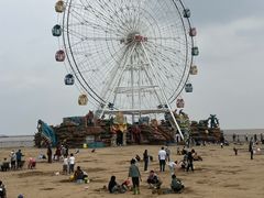 -碧海金沙