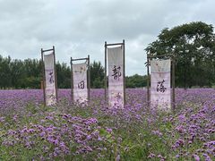 -渔岛海洋度假区