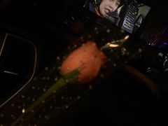 -枫花园汽车电影院(朝阳公园店)