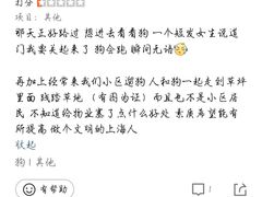 -逗柴咖啡屋·狗咖猫咖宠物桌游