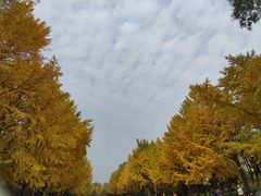 -玲珑塔公园
