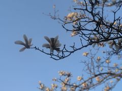 -上海海事大学(临港校区)