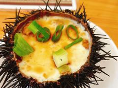 -海胆小馆(东北水饺·春柳店)