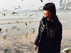 iphone_upload_pic-栈桥景区