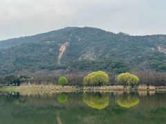 -长广溪湿地公园
