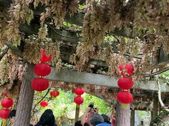 -大雁山风景区