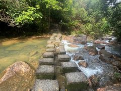 -广州白江湖森林公园