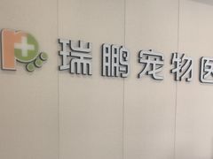 -瑞鹏宠物医院·骨科·猫科·内科(第一中心)