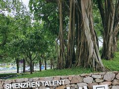 -深圳人才公园