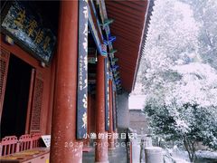 -西安大兴善寺