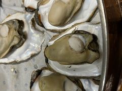 北海道生蚝原味蒸-新海渔港·胶东海鲜家常菜·家宴(奥体中心店)