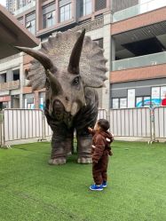 -恐龙探索乐园(磁器口店)