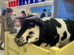 -红星前进面包牛奶公司(君太店)