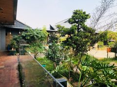 景观位-水乡人家