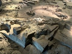 -自贡恐龙博物馆