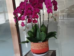-美年大健康·体检中心(江岸分院)