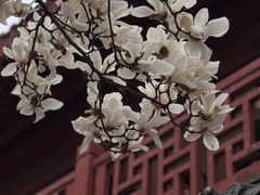 -堤角公园
