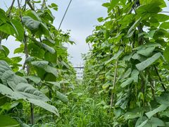 -凤来栖·净庭院·火锅(欧尚店)