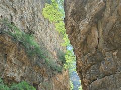 -龙门涧景区