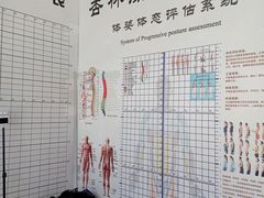 -杏林康桥中医正骨·体态矫正·跌打损伤·推拿按摩(国贸建外SOHO店)