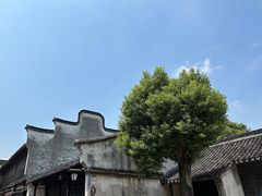 -乌镇景区