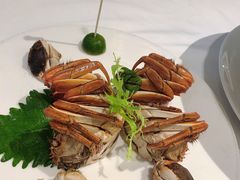 -洋洋中餐馆·SINCE 1997(信投店)