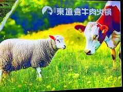 -东道煮牛肉火锅(东盛大街店)